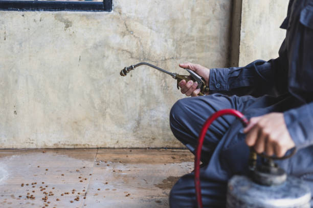 Best Mosquito Control Services  in Dunmore, PA